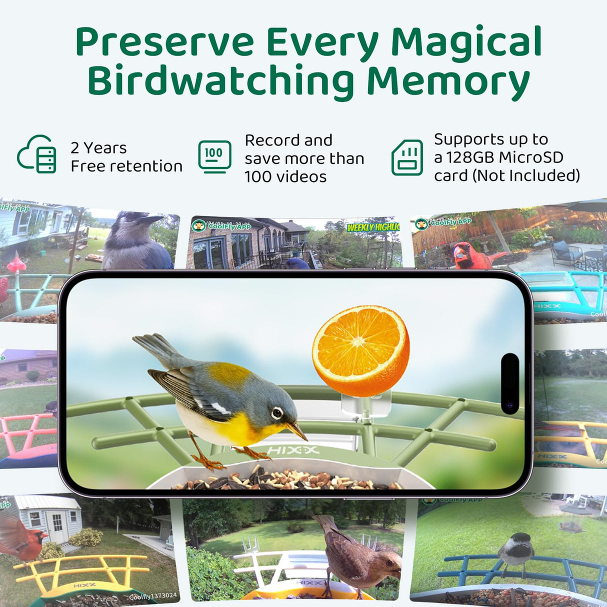 HIXX Smart Bird Feeder with Camera, AI Identify Birds & Auto Capture, 2K HD Live Camera Birdwatching with Color Night Vision for Bird Lovers Gifts (Forest Green)