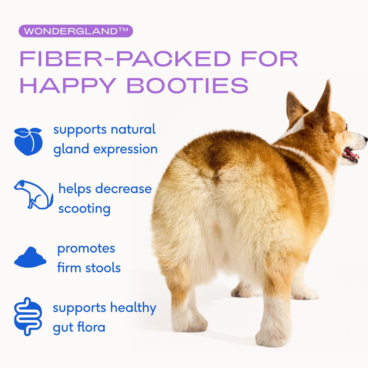 Native Pet WonderGland - Dog Anal Gland Treatment Using Fiber for Dogs - Prevent Scooting for Dogs Anal Gland Supplement Including Dog Gut Health Probiotics for Anal Gland Support - 30 Scoops