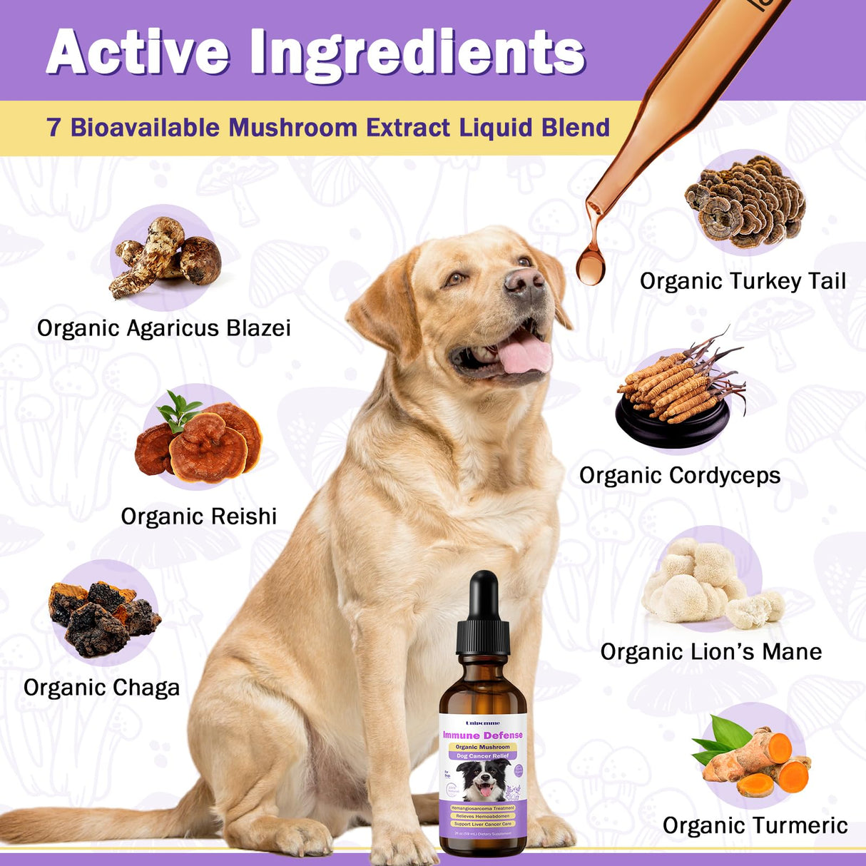Dog Cancer Supplements - Pet Critical Guard - Defense Immune Support, Cellular Health, Antioxidants with Turkey Tail Mushroom - Natural Herbal Supplement for Well-Being Protection 2 oz (59 ml)