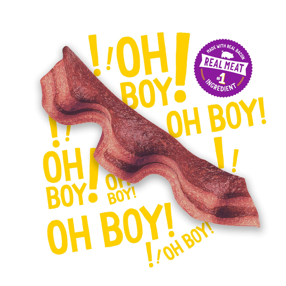 Purina Beggin' Strips With Real Meat Dog Treats With Bacon and Beef Flavors - (Pack of 2) 26 oz. Pouches