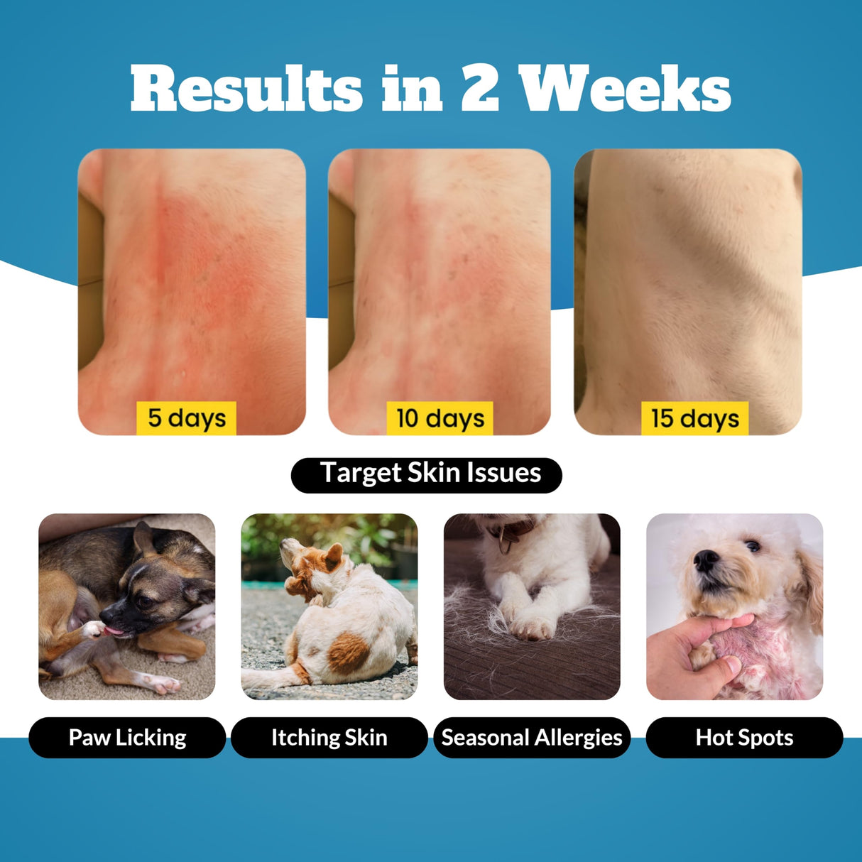Dog Allergy Itch Relief Chews Supplement – Itchy Skin, Hot Spot & Dry Skin Support for Paw Licking, Anti-Itch Allergy Chews with Fish Oil, Colostrum & Probiotics – 120 Ct