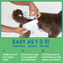 Load image into Gallery viewer, Out! PetCare Disposable Dog Diapers Male, Puppy Belly Band, Potty Training, Doggie Diapers, Belly Bands for Male Dogs, Puppy Training, Incontinence, (XS/S, 32ct)