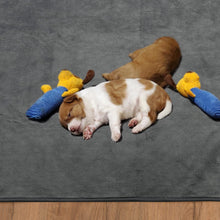 Load image into Gallery viewer, Dog Pee Pad Washable Extra Large, 72x72 Instant Absorb Training Pads, Non-Slip Pet Playpen Mat Waterproof Reusable Floor Mat for Puppy, Senior Dog Whelping Incontinence Housebreaking