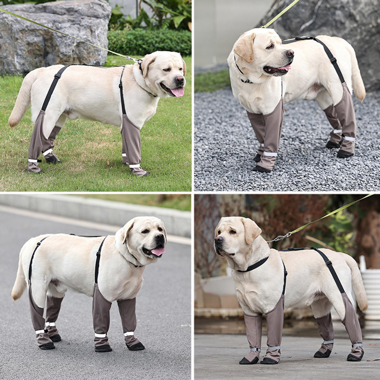 Ckuakiwu Waterproof Dog Shoes Anti-Slip Dog Shoes Reflective Dog Boots & Paw Protectors with Adjustable Straps Dog Booties for Hot Pavement, Hiking, Rainy and Snowy Days, M,Dog Rain Boots