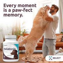 Load image into Gallery viewer, K9 Select Melatonin for Large Dogs - Composure Dog Calming Chews - Dog Melatonin for Sleep - Reduce Stress for Large Dogs - 6 mg, 90 Beef Flavored Chewable Tablets