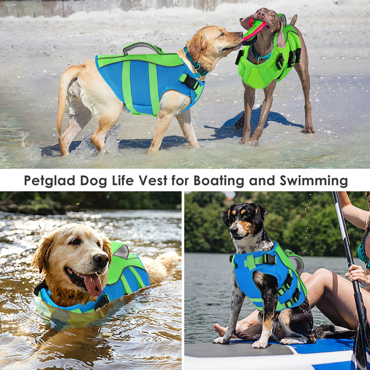 Dog Life Jacket, High Buoyancy Dog Life Vest with Handle for Swimming Boating, Adjustable Swimming Vest with Reflective Trim for Small Medium Large Dogs - Blue & Green, M