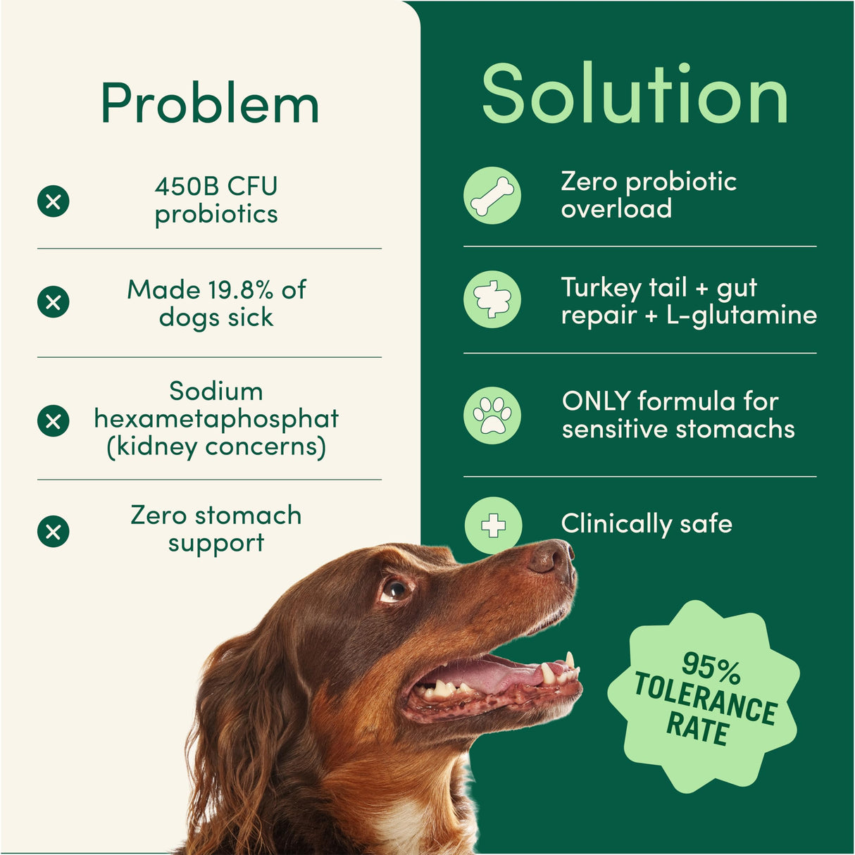 Fifth & Fido Breath Buddy Dog Dental Powder for Fresher Breath & Cleaner Teeth, Cat & Dog Teeth Cleaning Powder, Removes Plaque, Gentle Formula for Sensitive Stomachs, Natural Ingredients, USA Made