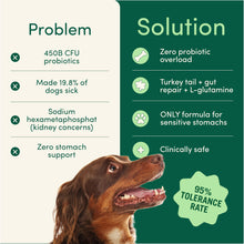 Load image into Gallery viewer, Fifth & Fido Breath Buddy Dog Dental Powder for Fresher Breath & Cleaner Teeth, Cat & Dog Teeth Cleaning Powder, Removes Plaque, Gentle Formula for Sensitive Stomachs, Natural Ingredients, USA Made