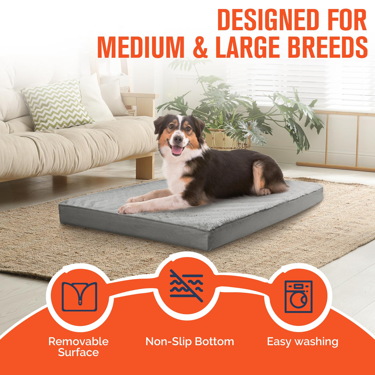Simple Trending Orthopedic Dog Bed for Large Dogs, Egg Crate Foam & Removable Cover, Washable Pet Bed, 36 x 27 Inch, Gray