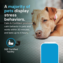 Load image into Gallery viewer, VetriScience Veterinary Strength Calm & Confident Chews - Stress Supplement for Pets - Supports Brain Function for Cats & Dogs - with L-Theanine, Thiamine & More - 60 Count