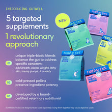 Load image into Gallery viewer, GutWell Itchy Skin - Dog Itching Skin Relief & Seasonal Allergy Itch Relief for Dogs - Promotes Skin Hydration, Elasticity & Healthy Barrier with Triple-biotic Blend, Zinc, & Vitamin E - 60 Scoops