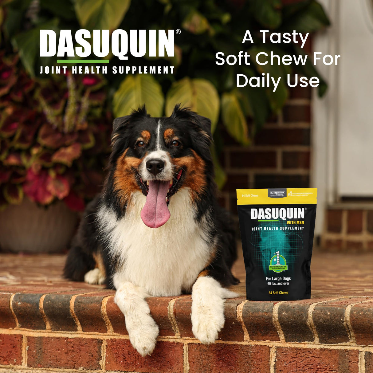 Nutramax Dasuquin for Large Dogs, Joint Health Supplement, Contains Glucosamine for Dogs, Plus Chondroitin, ASU, MSM and More, Supports Healthy Joints, Soft Chews, 84 Count