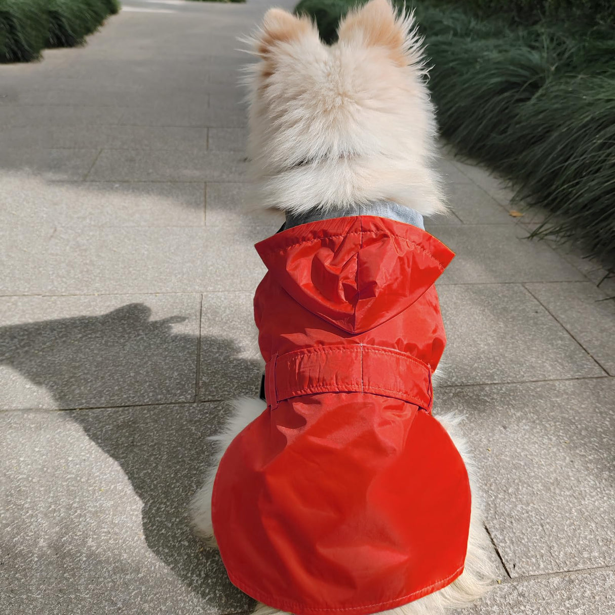 BECNBEAU Dog Raincoat Small Dog Rain Jacket Poncho Waterproof Snowproof Pet Rain Suit Double-Layered Warm Lining Hooded Leash Hole Adjustable Puppy Small Medium Dogs,Red,S,Back Length 6.5-8.5 inches