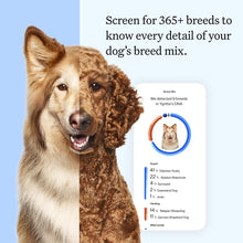 Load image into Gallery viewer, Wisdom Health Essential Dog DNA Kit | Most Accurate Test | 365+ Breeds | 30 Genetic Health Conditions | 50+ Traits, Relatives, Ancestry | Pack of 1