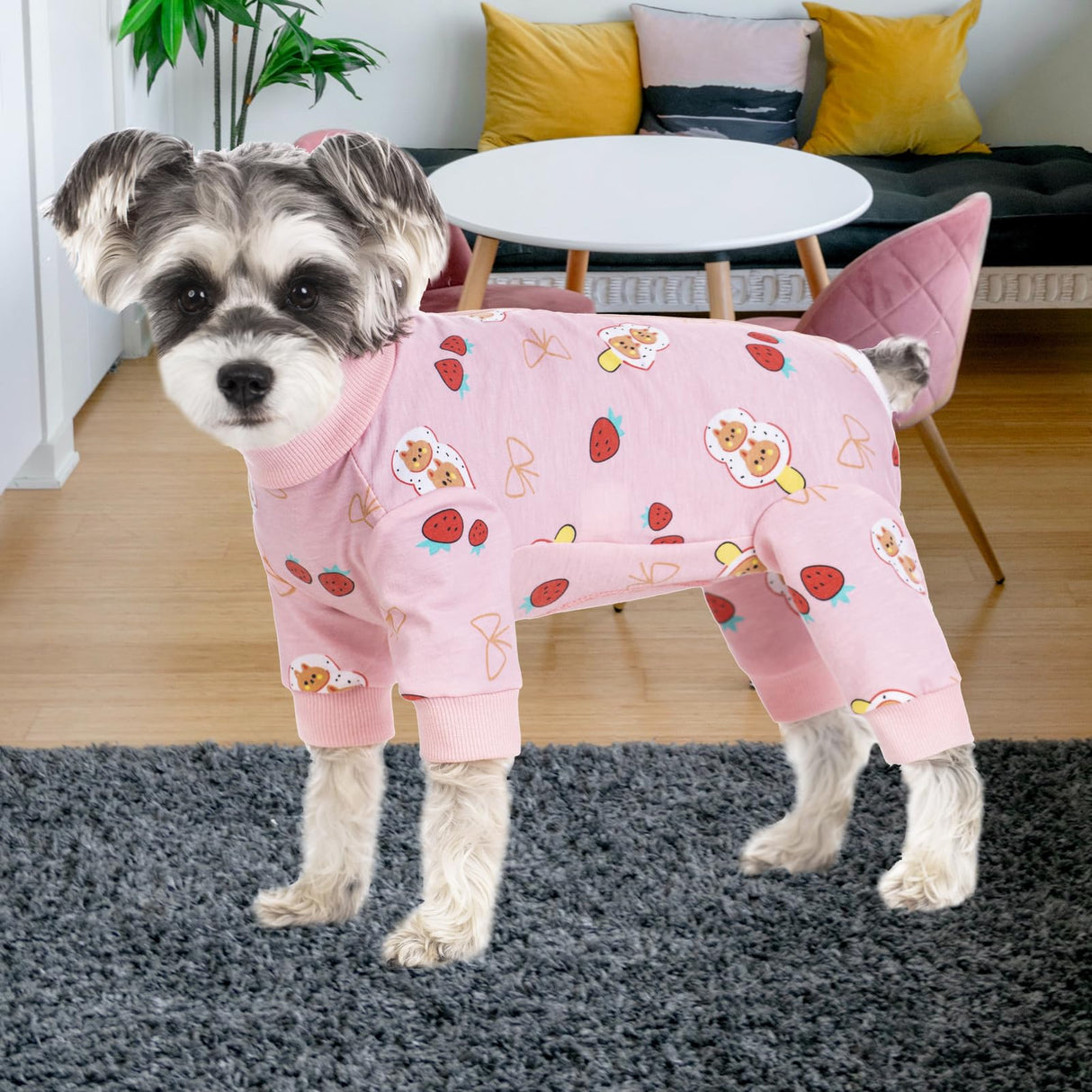Dog Surgery Recovery Suit, Dog Onesie for Surgery Female Male Dogs, Dogs Pajamas Long Sleeve, Small Dogs Onesie, Abdominal Wound Bandages Surgical Suit, Cat Recovery Suit for Shedding Skin Disease