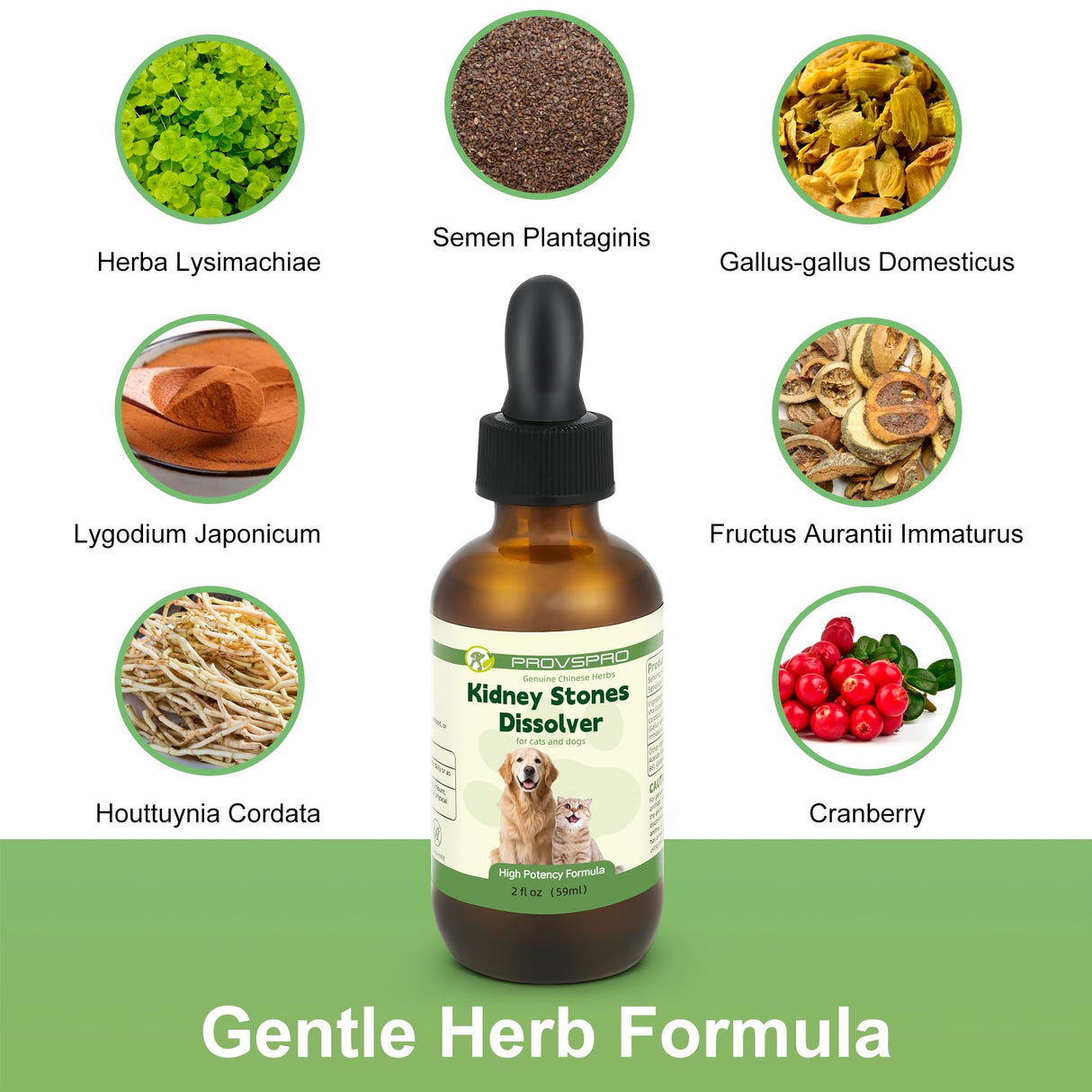 Dog & Cat Bladder Crystals Treatment or Stone, Bladder Kidney Stones Dissolver for Pet, Cat Dog Urinary Tract Supplements for Kidney and Bladder Stones, Urinary Free The Flow, 2 fl oz, 59ml