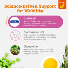 Load image into Gallery viewer, Zesty Paws Hip and Joint Supplement for Dogs - Glucosamine with Chondroitin, MSM, Vitamins C and E Dog Joint Relief - Mobility Bites Duck – 90 Count