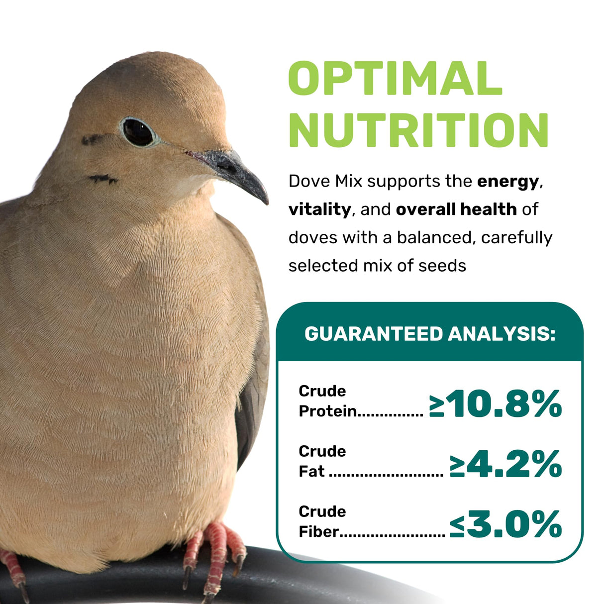 Dove Mix 5 Lbs, Dove Food, Premium Dove Bird Seed, Nut Free Mix Feed for Dove, Nutrient-Rich Mixed Birdseeds, Supports Daily Energy Growth & Healthy Balanced Diet, Bird Seed for Outside Feeders