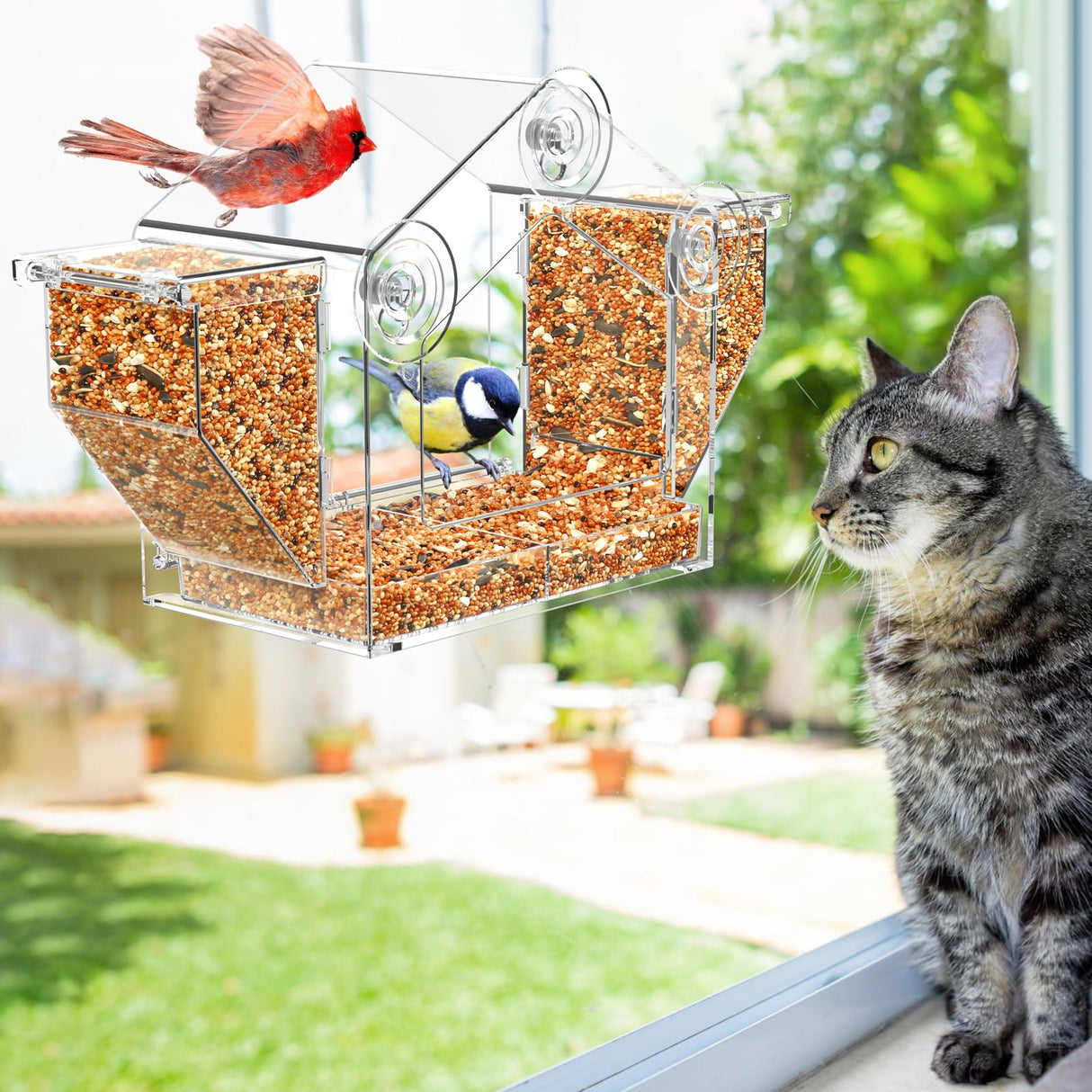 Window Bird Feeder, Clear Birdfeeder for Window Larger Viewing, Squirrel-Proof Bird Watching with Strong Suction Cup and Self-Adhesive, Large Food Storage Design