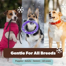 Load image into Gallery viewer, Natural Dog Company Snout Soother Balm – Dog Nose Balm for Dry Cracked Snouts, Moisturizing Winter Nose Care with Coconut Oil & Shea Butter, Lick Safe Dog Snout Balm for All Breeds, 2 oz Stick