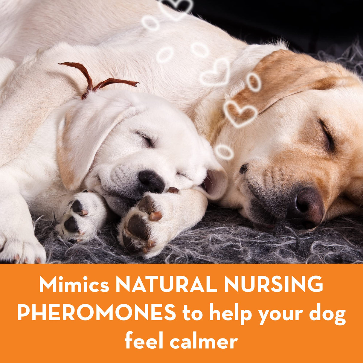 ThunderEase Dog Calming Pheromone Diffuser Kit | Powered by ADAPTIL | Vet Recommended to Relieve Separation Anxiety, Stress Barking and Chewing, and the Fear of Fireworks and Thunderstorms (60 Day Sup
