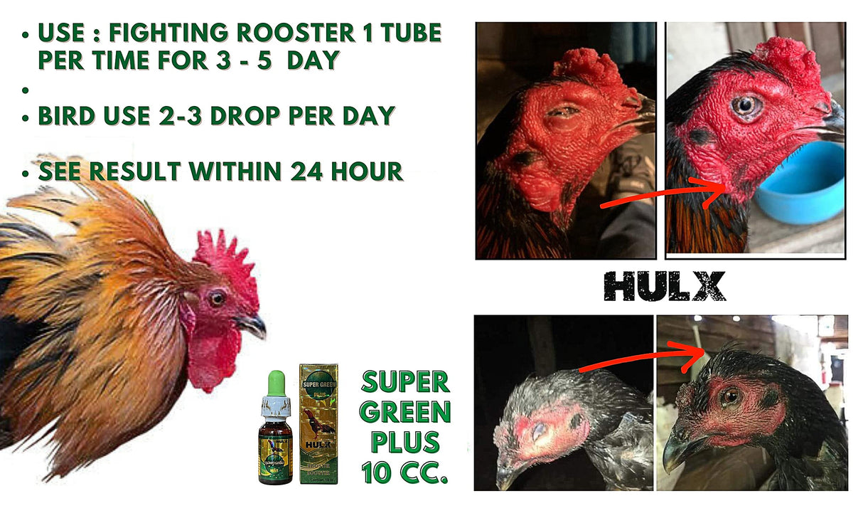 HULX Super Green 10 CC. Rooster Booster Health Care Protection, Quickly Recover Chicken Rooster from Sick, Heal Wounds Pain, Recovery Energy Increase Immunity Poultry & Bird