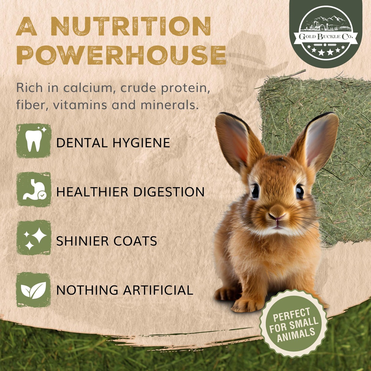Gold Buckle Co 9lb Farm Fresh, USA Grown, Organic Alfalfa Hay for Rabbits, Guinea Pigs, Chinchillas, Goats, Hamsters & Ferrets - Rabbit Food Rich in Protein & Fiber - Just Dried, Hand-Selected