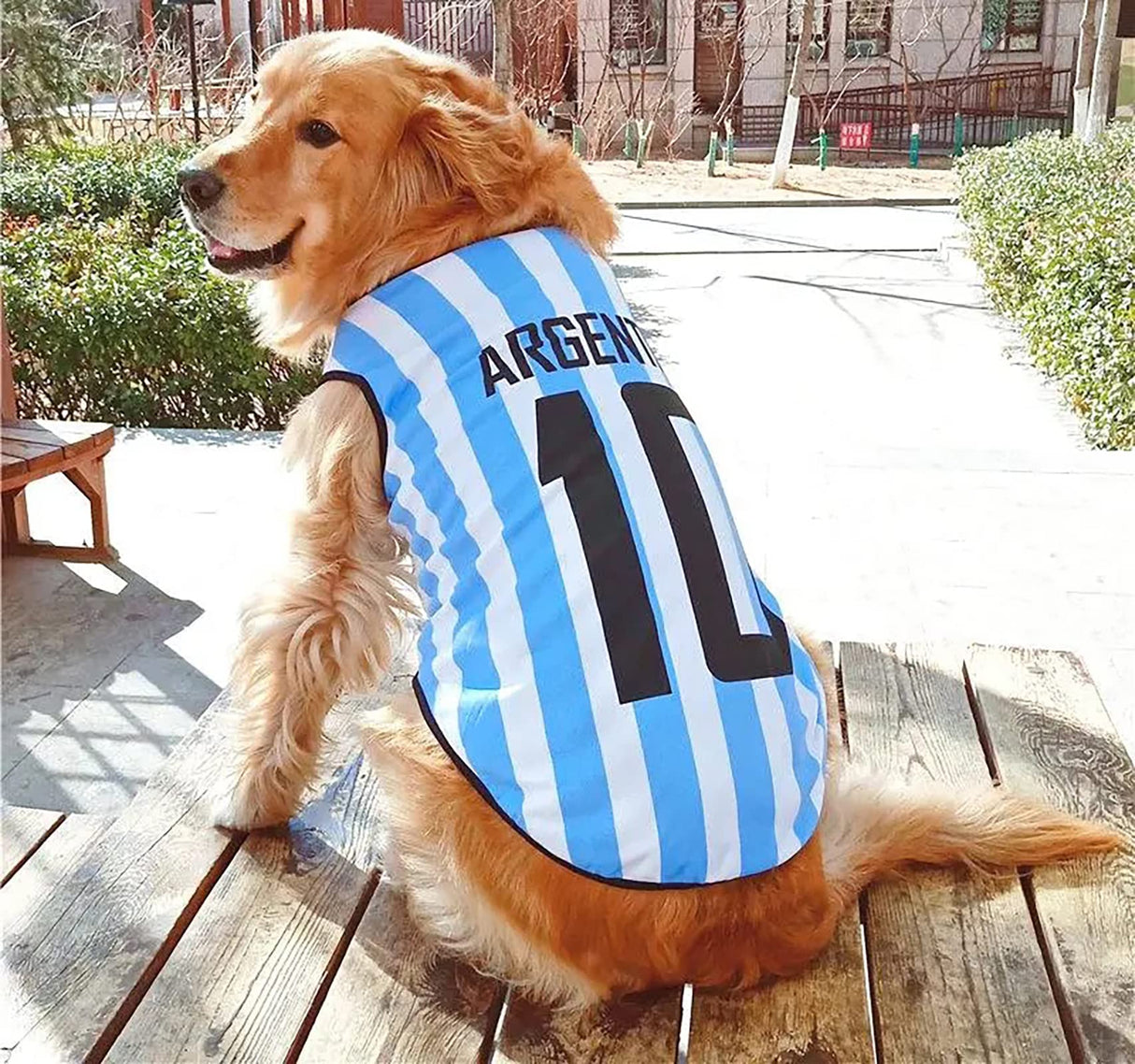 GabeFish Dog World Cup T Shirt Pets Football Jersey Sports Soccer National Team Vest Cat Summer Cool Clothes Apparel Argentina Small