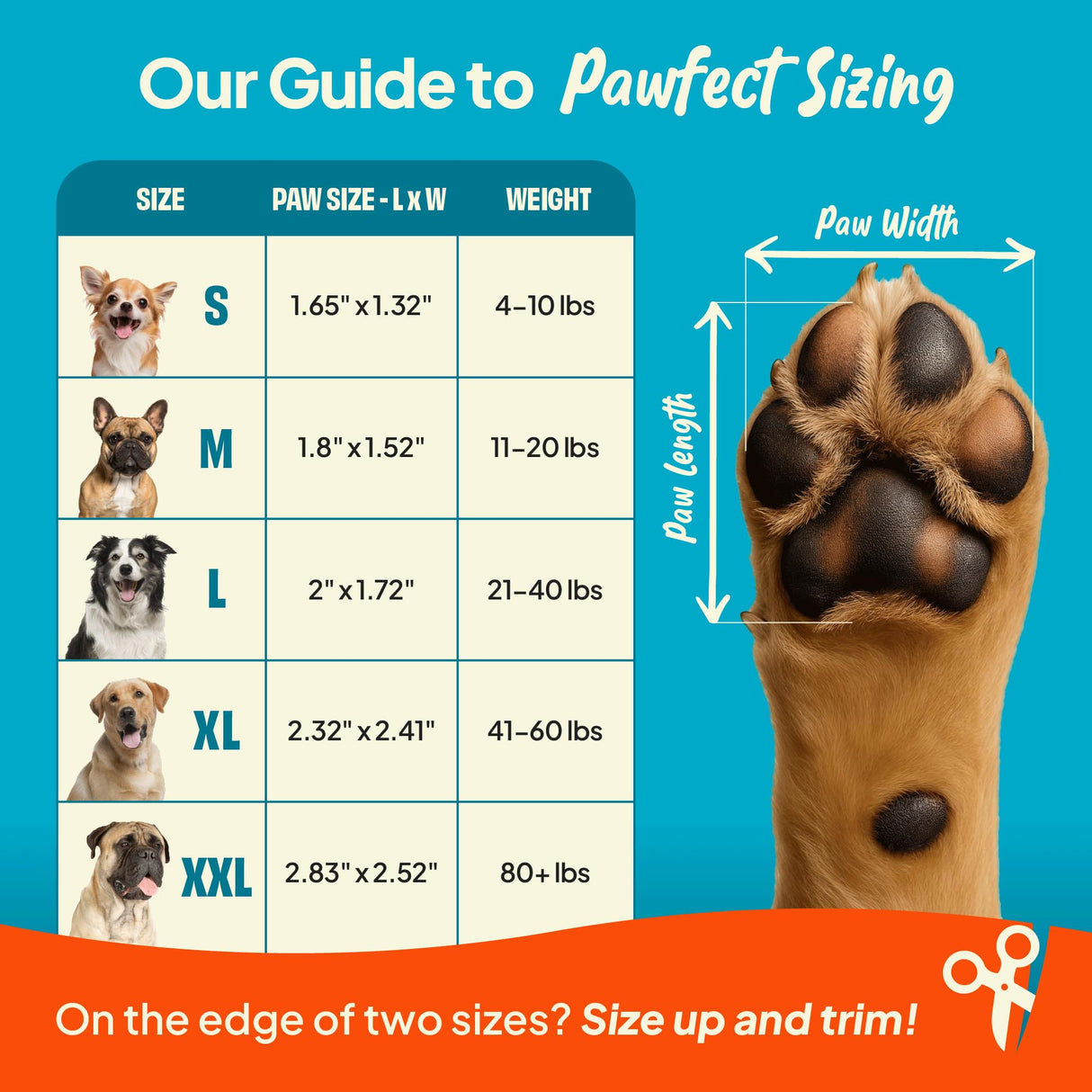 Steady Paws Anti-Slip Paw Stickers for Dogs Feet - Non-Slip Paw Pads for Traction on Hardwood & Tile Floors - Breathable Adhesive Friction Foot Grips for Senior & Injured Dogs – 24 Pads (Size S)