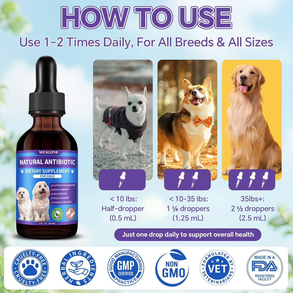 Dog Antibiotics Support - Natural Antibiotics Care for Dogs Herbal Supplement for Cough Allergy Itch Relief Immune Support Dog UTI Comfort for All Breeds & Ages - 60 ml/2 Fl Oz Bacon Flavor