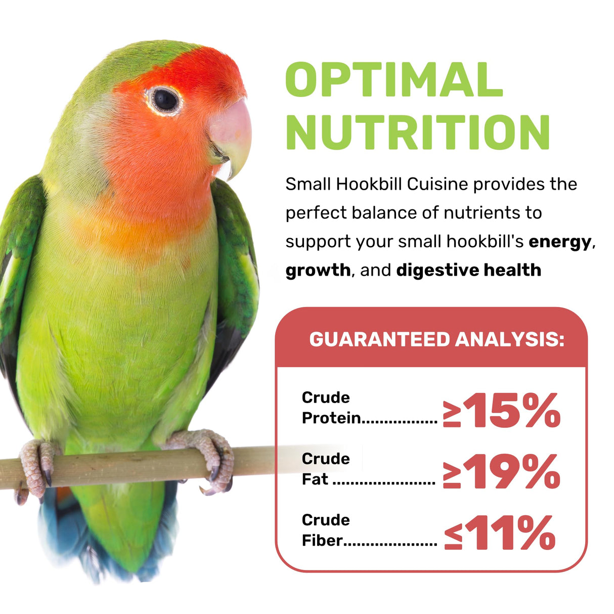 Small Hookbill Cuisine, 4 Lbs Premium Birdseeds for Parrot, Bird Food for Small Hookbill, Supports Daily Energy, Growth & Digestive Health, Nutrient-Rich Parrot Bird Seed for Outside Feeders