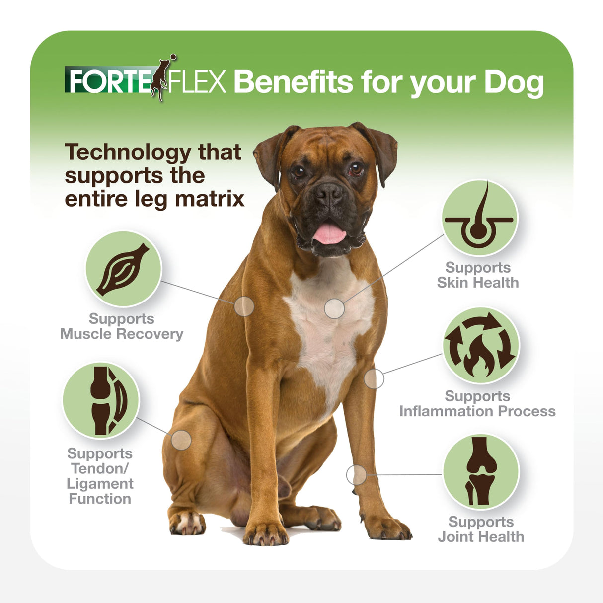 Forte Flex K9 Joint & Hip Supplement for Dogs – Hip Dysplasia, Joint Stiffness, Anti-Inflammatory & Mobility Support – Serrapeptase, Glucosamine, Chondroitin, Collagen & HA for Senior & Active Dogs