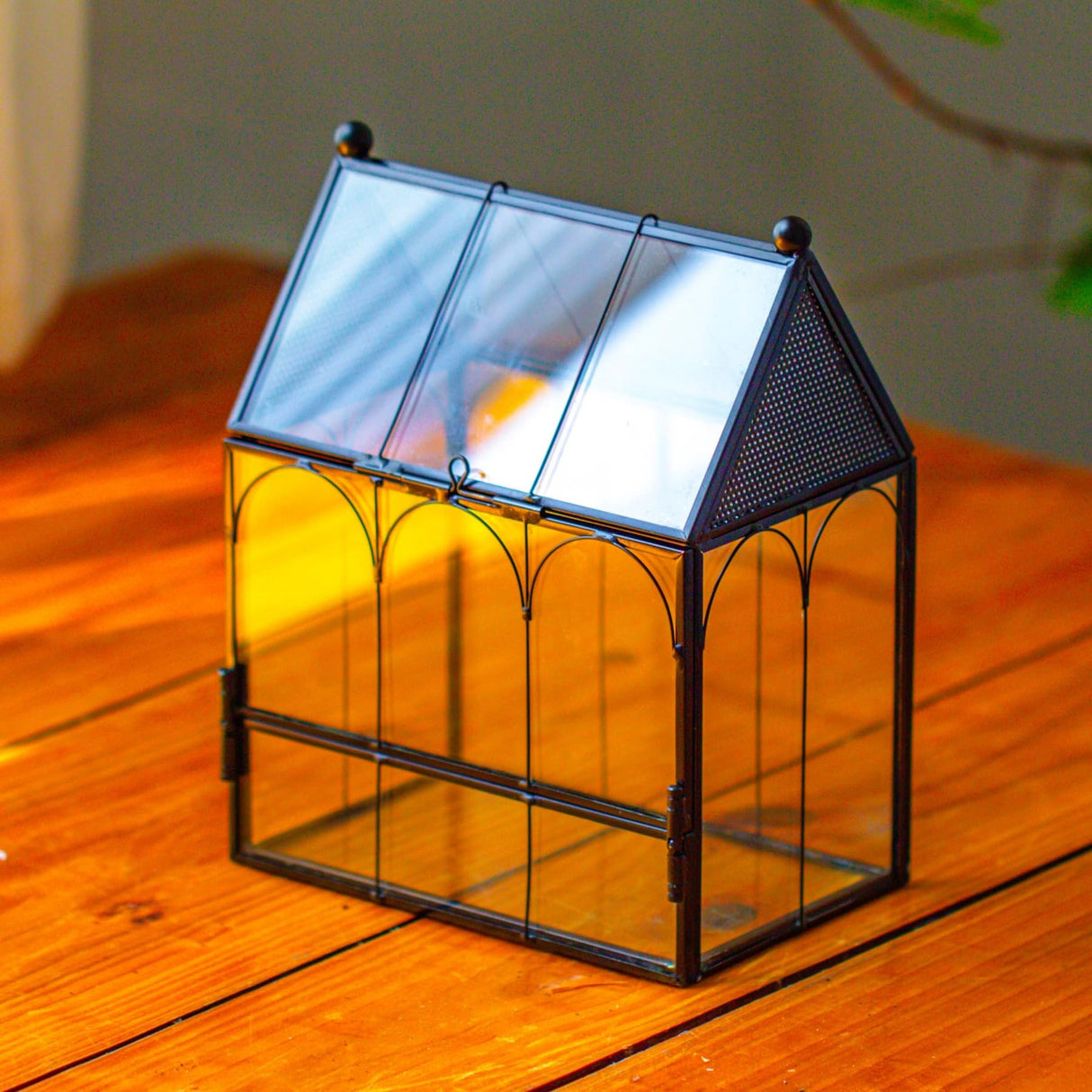 NCYP Small Glass Terrarium Enclosure with Mesh for Jumping Spiders, Micro House Shaped Succulent Plants Terrarium, Home Decor Black, 5.8" x 3.8" x 7" (No Plants)