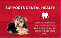 Load image into Gallery viewer, Rewardables | Healthy Chewers | Natural Collagen and Beef Sticks for Dogs | 100 Count | High Protein and Limited Ingredient Dog Chews