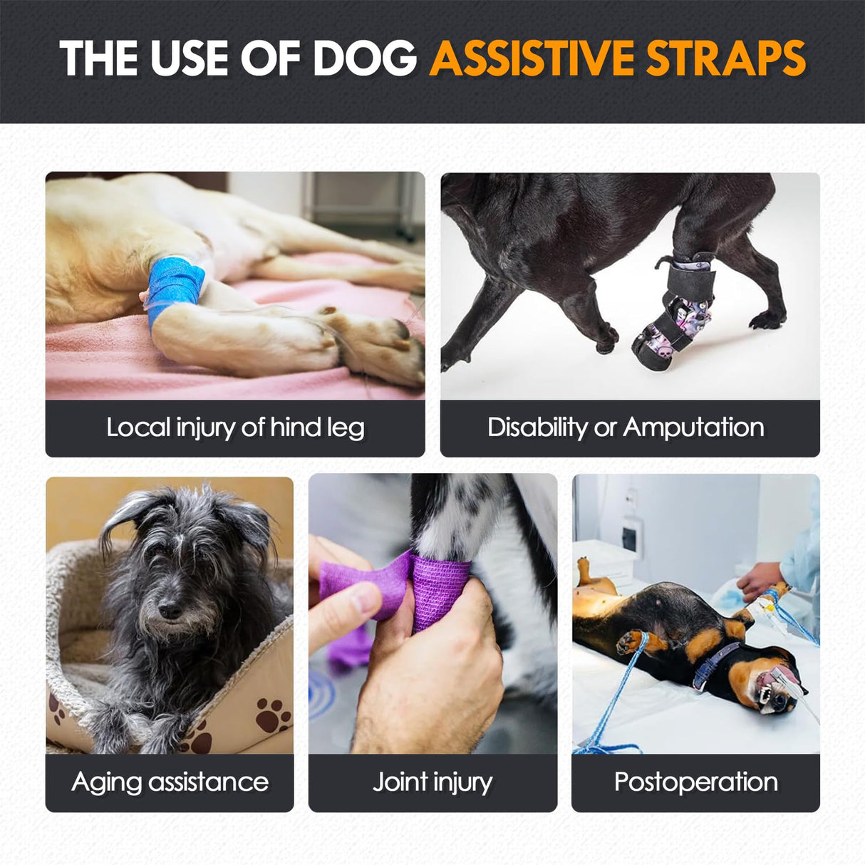 BARDIMIES Dog Lift Harness for Back Legs–Sturdy Dog Support Sling–Hip Sling Carrier for Large Medium Canine, Stair Helper for Aid Old Ligament Rehabilitation Pet, Grey,S