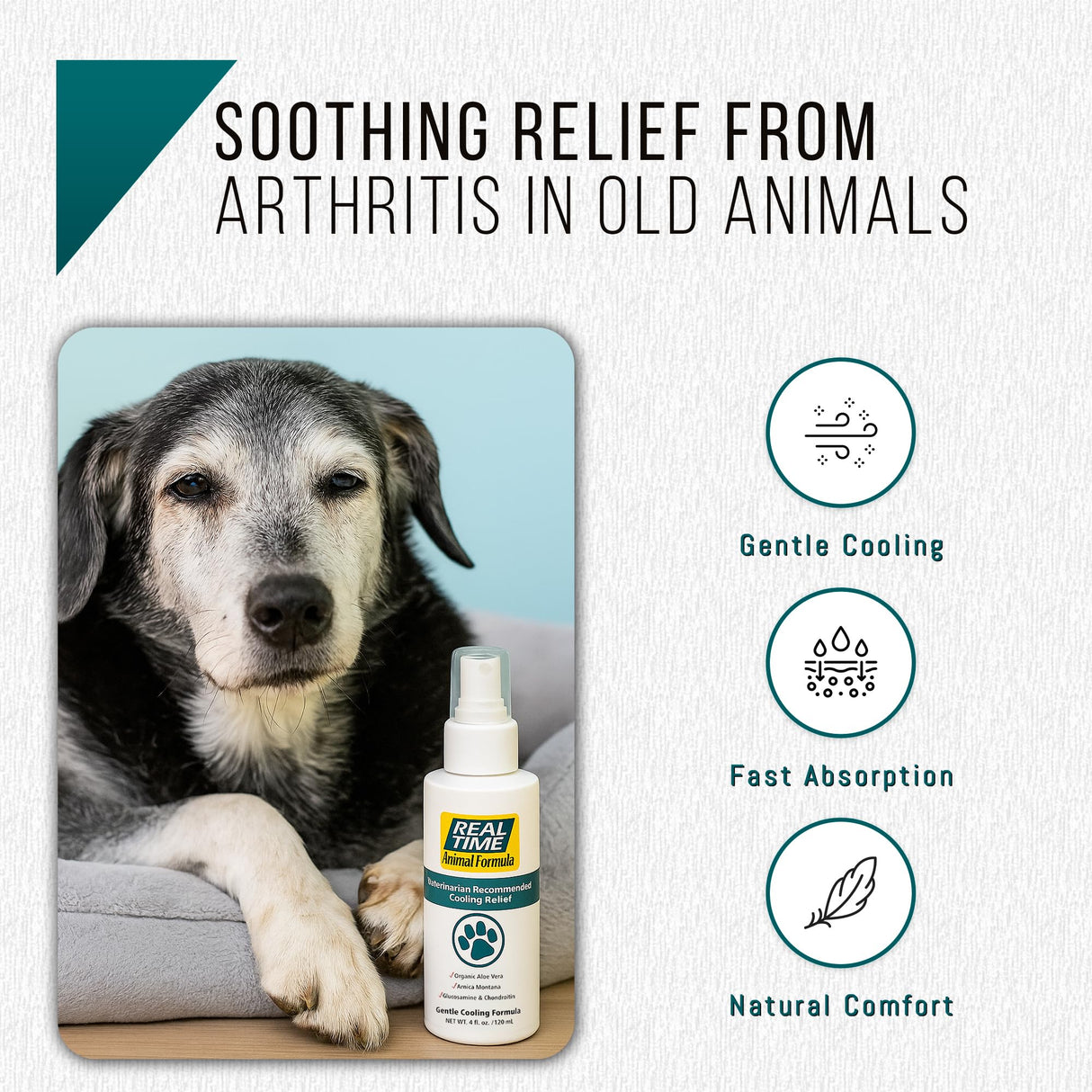 Real Time Pain Relief Pet Formula - 4oz Spray Bottle | Vet Recommended Relief for Pets | 16 Natural Ingredients Including Menthol, Aloe Vera, and Arnica | Gentle Cooling Sensation | Easy Application