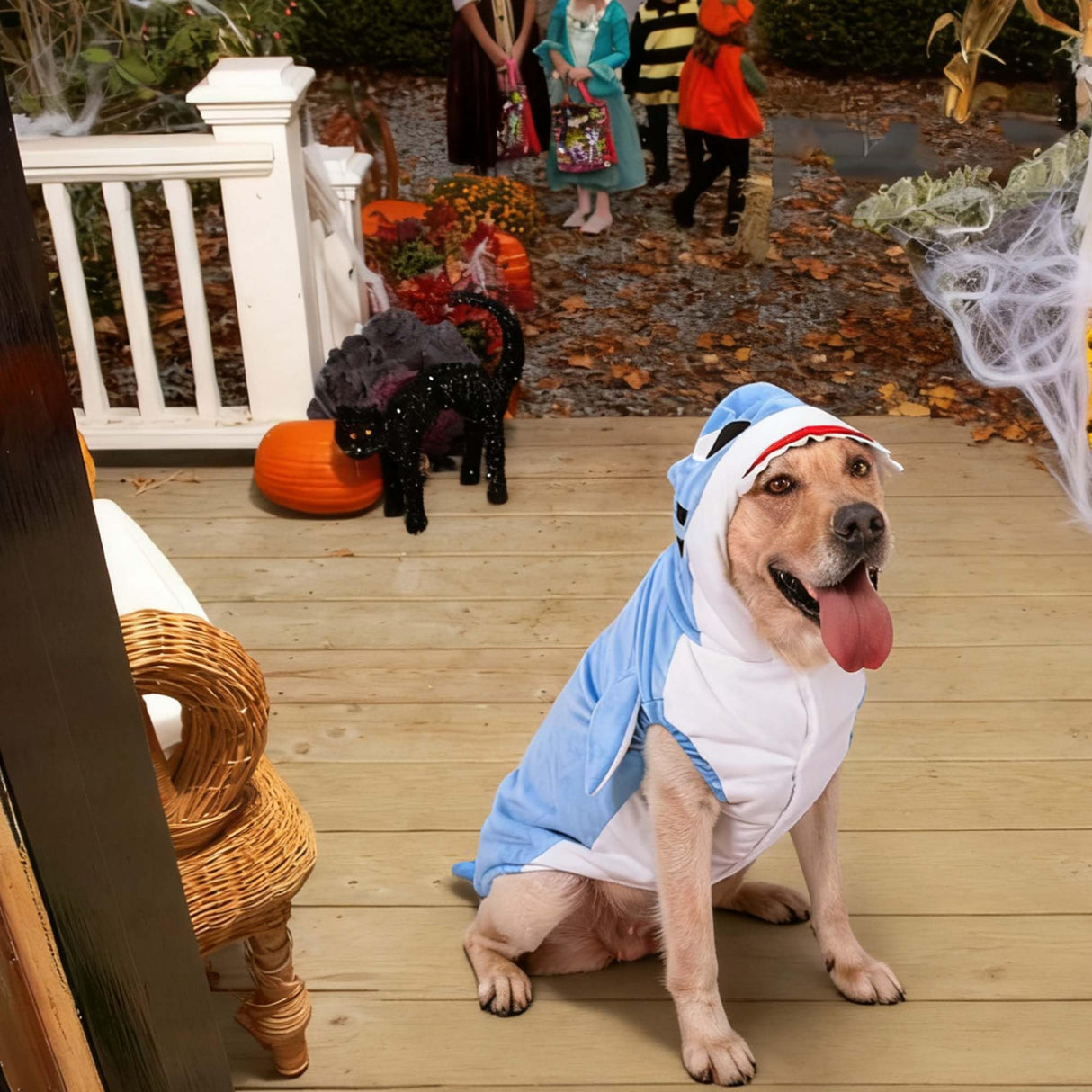 Halloween Dog Shark Costume Outfits for Large Dog Winter Fleece Puppy Jacket Coat Hoodie Funny Dog Clothes Golden Retriever(3XL, Blue)