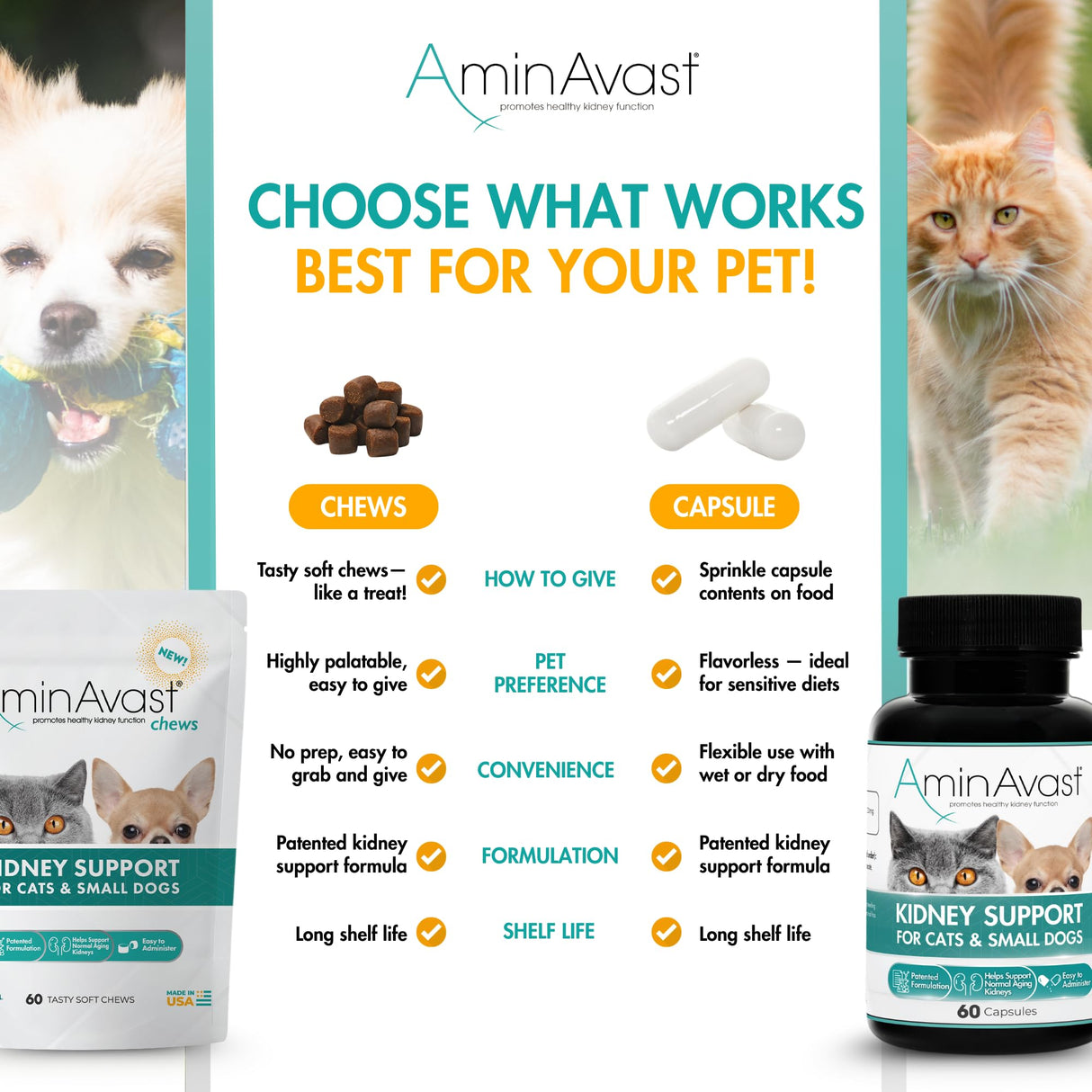 AminAvast Small Dogs & Cat Kidney Support - Promotes Healthy Kidney Support in Cats & Small Dogs - 300mg (60 Chews)
