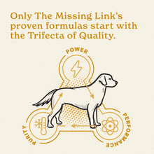 Load image into Gallery viewer, The Missing Link Skin & Coat + Probiotics Supplement 1lb Bag - Powerful Superfood Powder for Dogs Supports Healthy Skin & Glossy Coat, Promotes Hair Growth