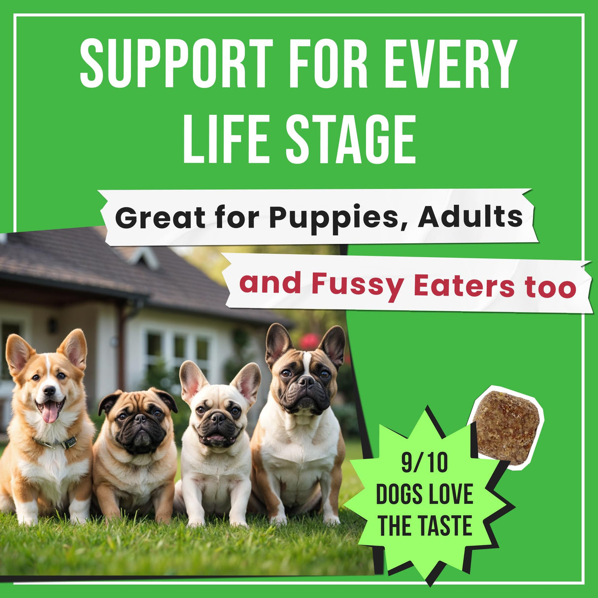 Pawsential No Poo Chews for Dogs - Coprophagia & Stool Eating Deterrent with Probiotics, Digestive Enzymes & Breath Aid Support - Stop Dog Poop Eating - Made in USA - 120 Soft Chews
