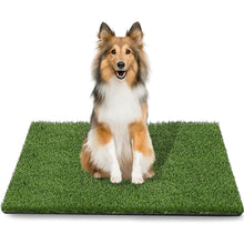 Load image into Gallery viewer, STARROAD-TIM 43.5 x 29.8 inches Fake Grass Pee for Dogs Artificial Grass Rug Pad for Puppy Potty Washable Grass Mat for Pet Training with Drainage Hole