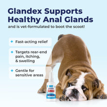 Load image into Gallery viewer, Vetnique Glandex Medicated Dog Butt Wipes or Spray for Dog Scooting - Topical Anti Itch Skin Relief for Soothing Inflamed Anal Glands in Dogs & Cats - Fast Acting Formula (4oz Spray)