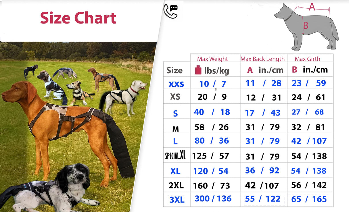 K9 TailSaver: Large Happy Tail Protector for Labrador, Golden Retrieve, Pitty, Doodles – Check Size Chart Image for FIT