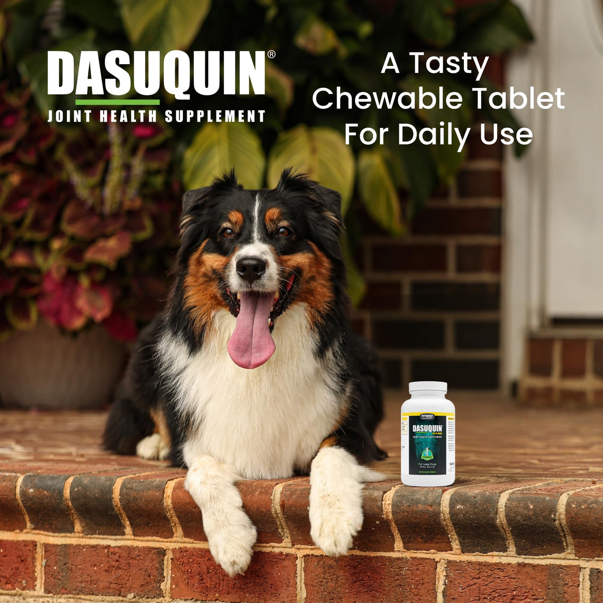 Nutramax Dasuquin for Large Dogs, Joint Health Supplement, Contains Glucosamine for Dogs, Plus Chondroitin, ASU, MSM and More, Supports Healthy Joints, Chewable Tablets, 84 Count