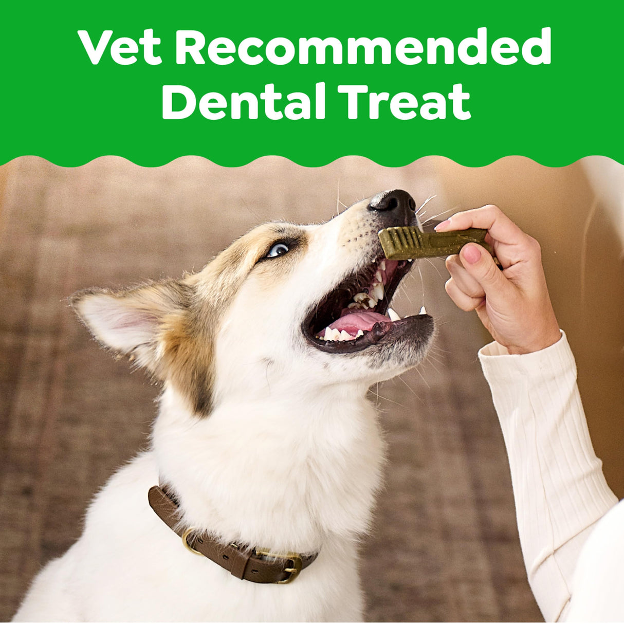 Greenies Veterinarian-Recommended Natural Dental Dog Treats Teenie Size, Original Flavor, 12 oz. Pack, 43 Count