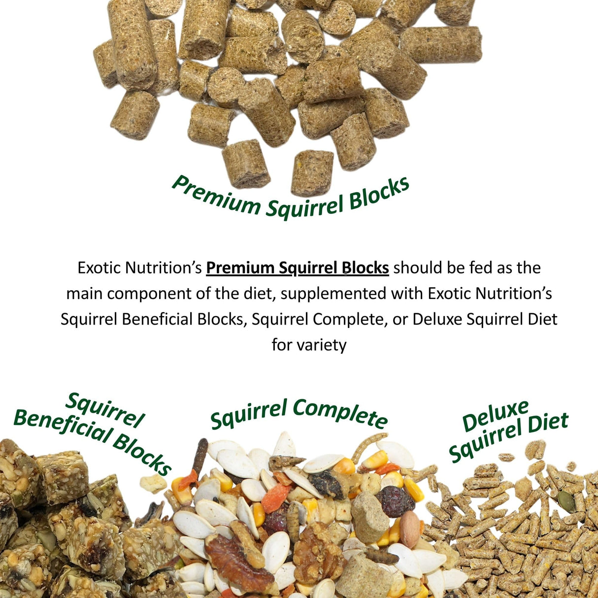 Exotic Nutrition Deluxe Squirrel Diet (2 lb.) - Staple Diet with High Protein Pellets for Captive Squirrels - Grey, Ground, Flying, and Chipmunks