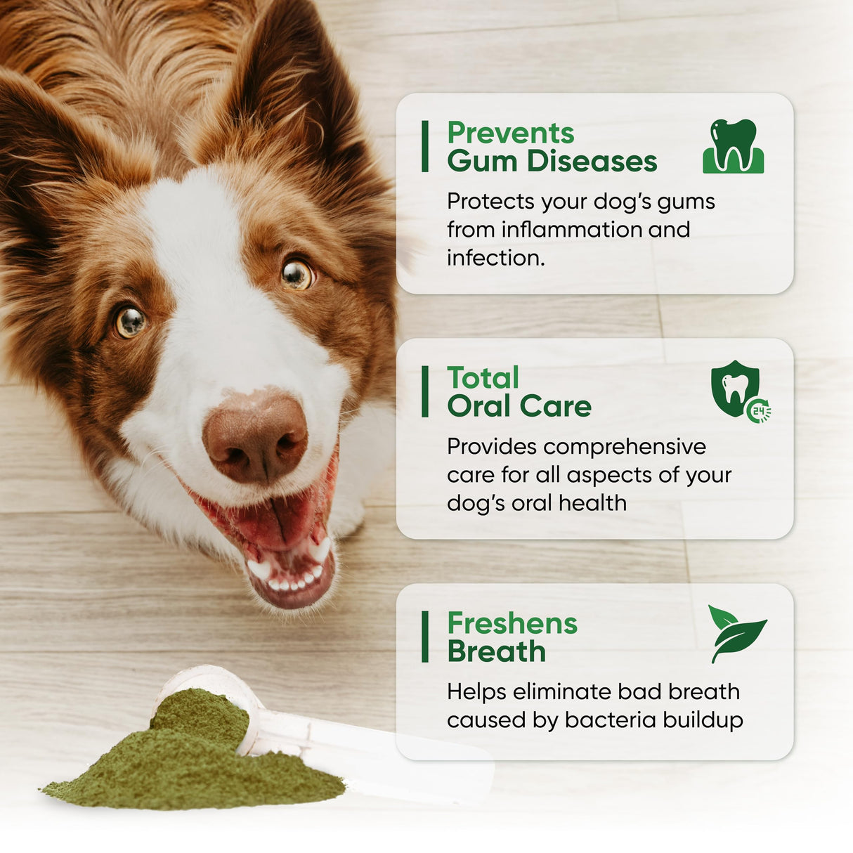 Dog Teeth Cleaning Powder - Fortify Dental Powder for Dogs - Plaque Remover and Freshens Bad Breath with Fresh Green Supplements - Contains Kelp, Probiotics, and Other Tooth Cleaning Ingredients