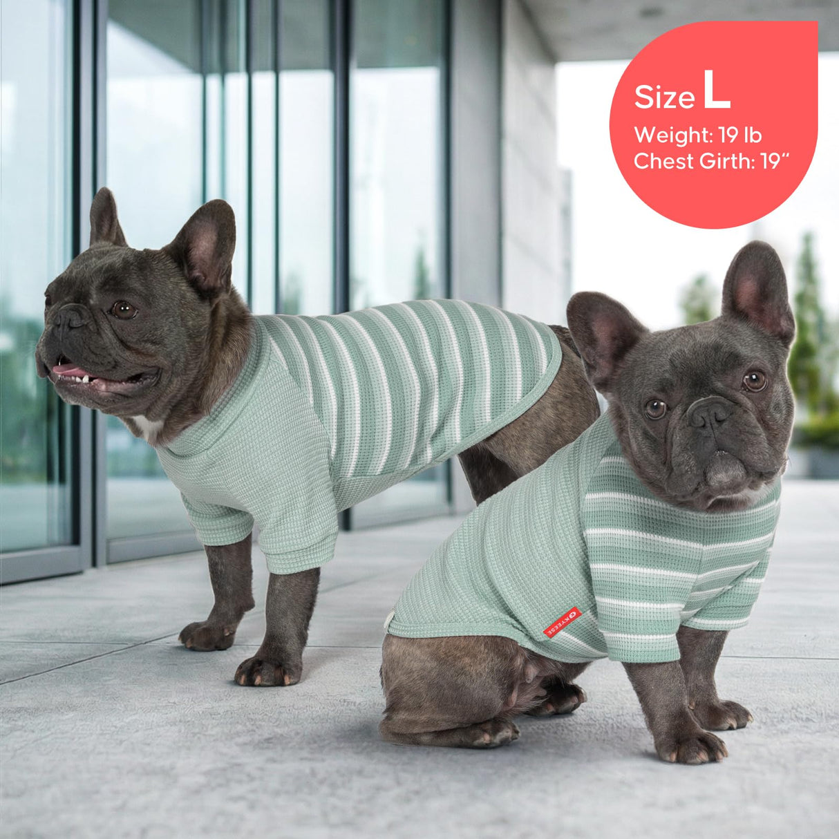 KYEESE 2Pack Waffle Dog Shirt with Sleeves, Lightweight Dog T Shirts for Small Medium Dogs Boy Girl, Breathable Pet Tee Shirts Soft Dogs Clothes for Daily Wear, Green+Striped, XL