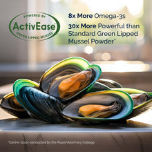 Load image into Gallery viewer, YuMOVE Hip & Joint Supplement for Dogs - With Glucosamine Chondroiton, Green Lipped Mussel , Hyaluronic Acid, and Omega 3 Joint Supplement for Stiffness and Mobility - 60 Chews (Small/Medium Dogs)