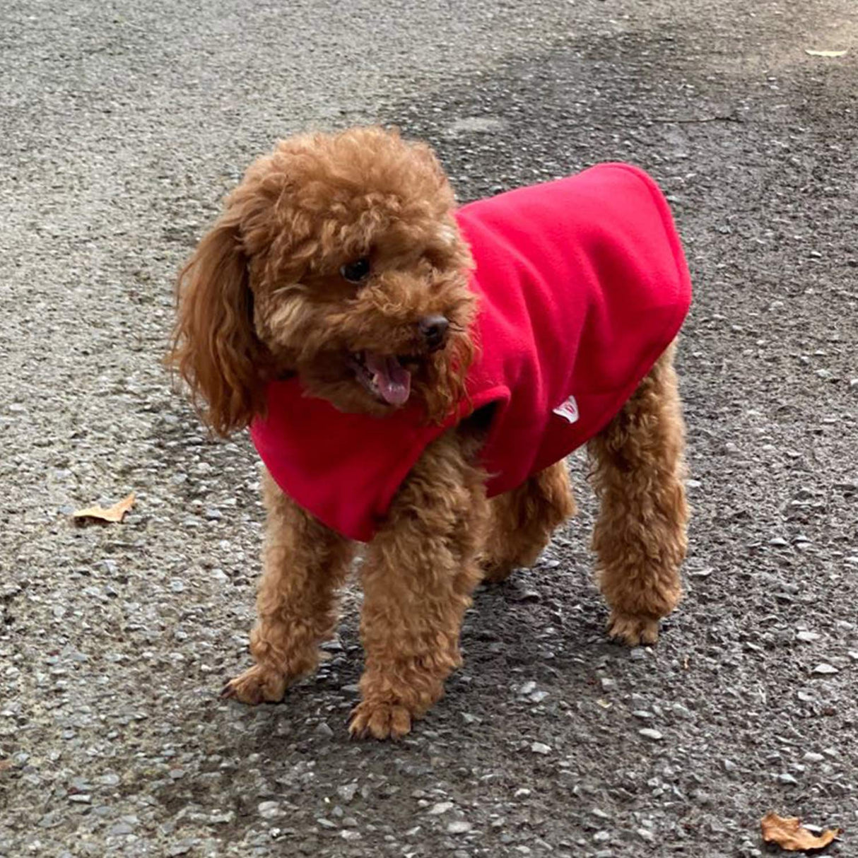 Dog Winter Vest Warm Breathable Dog Polar Fleece Vest Jacket, Lightweight Winter Coat with Leash Neck Hole for Small Medium Large Dogs Red L